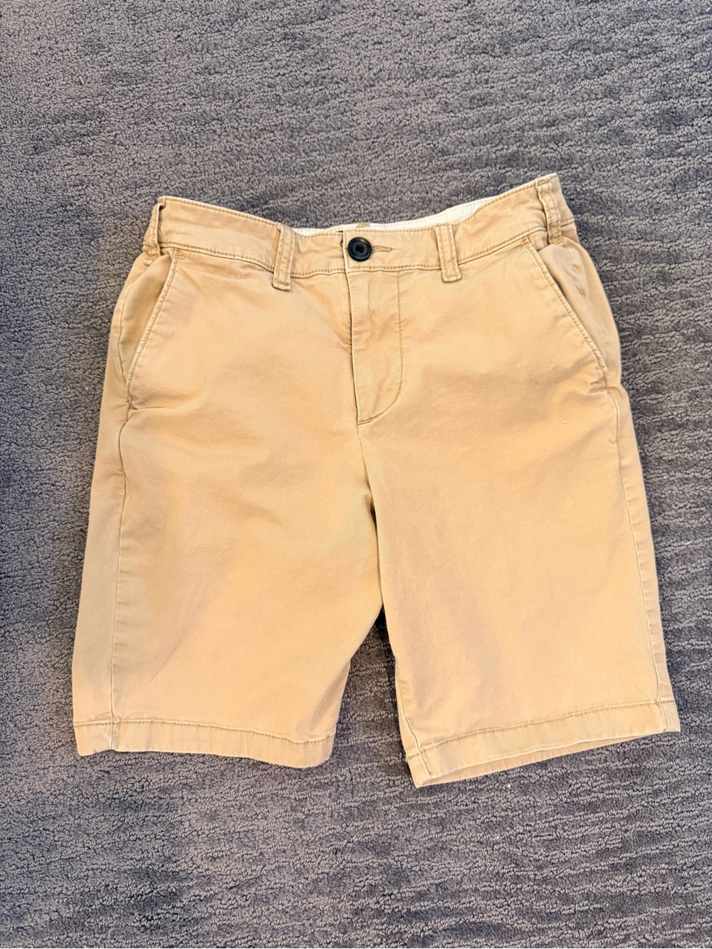 Hollister 26” flat front 9” shorts